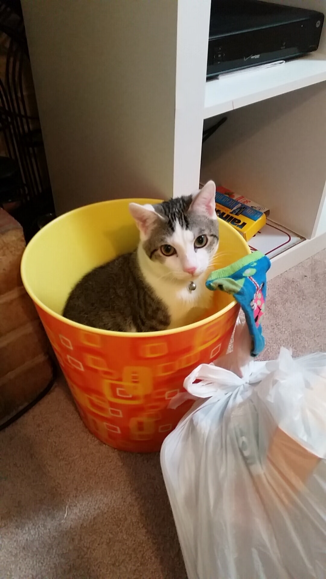 开云入口-“极限挑战：英雄球员的高空扣篮背后秘籍”，极限挑战高空坠落