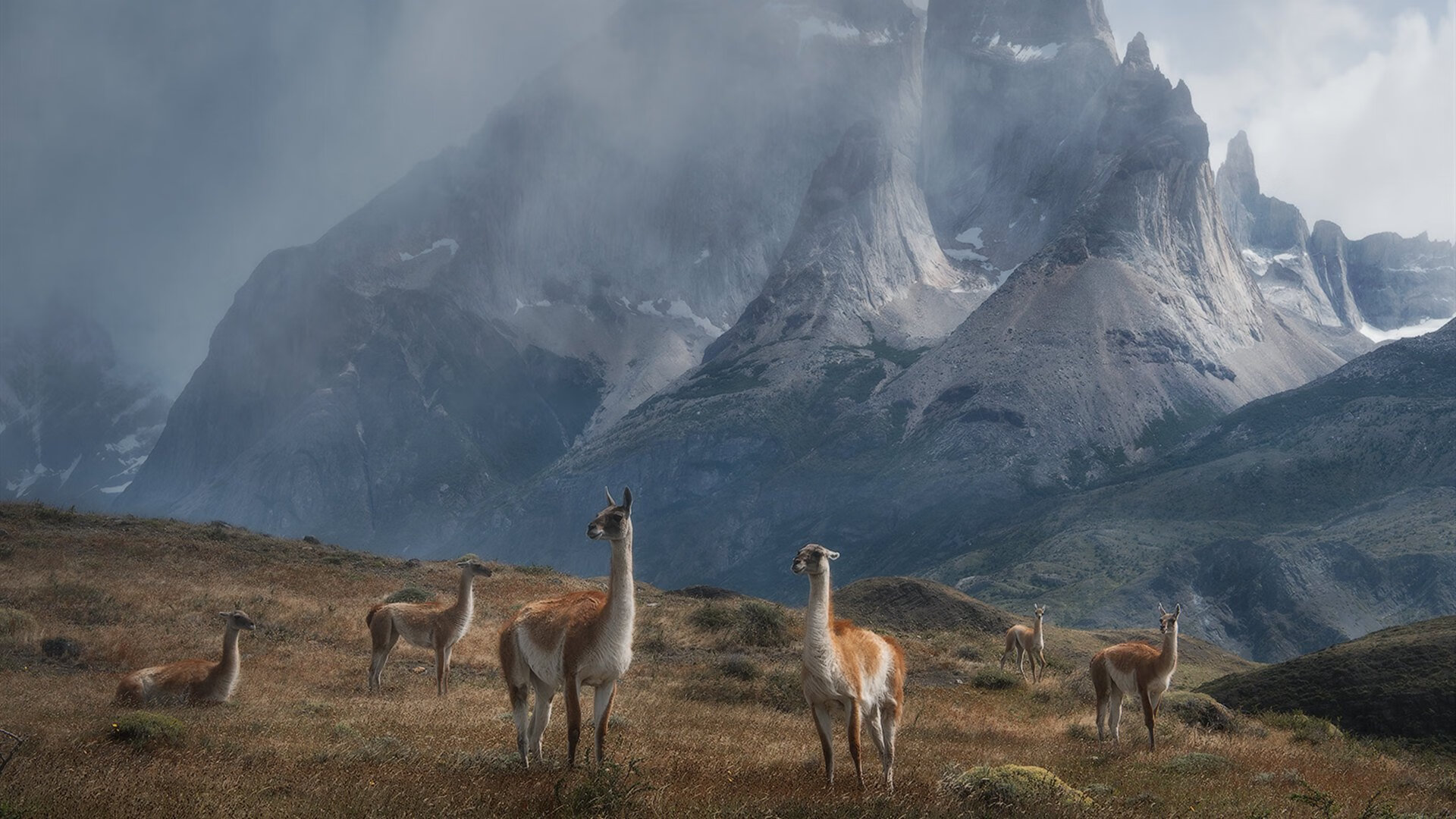 开云娱乐-哥伦比亚马术协会举办国际马术科技大会，推动行业技术交流与合作。