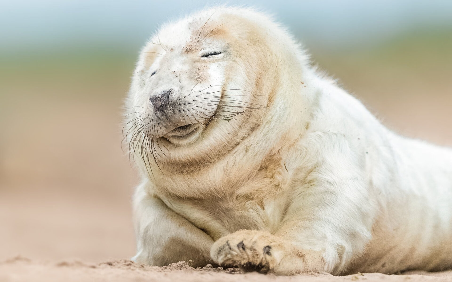 开云首页登录-巴黎签下一名欧洲闪耀新星，战力再升级，巴黎all