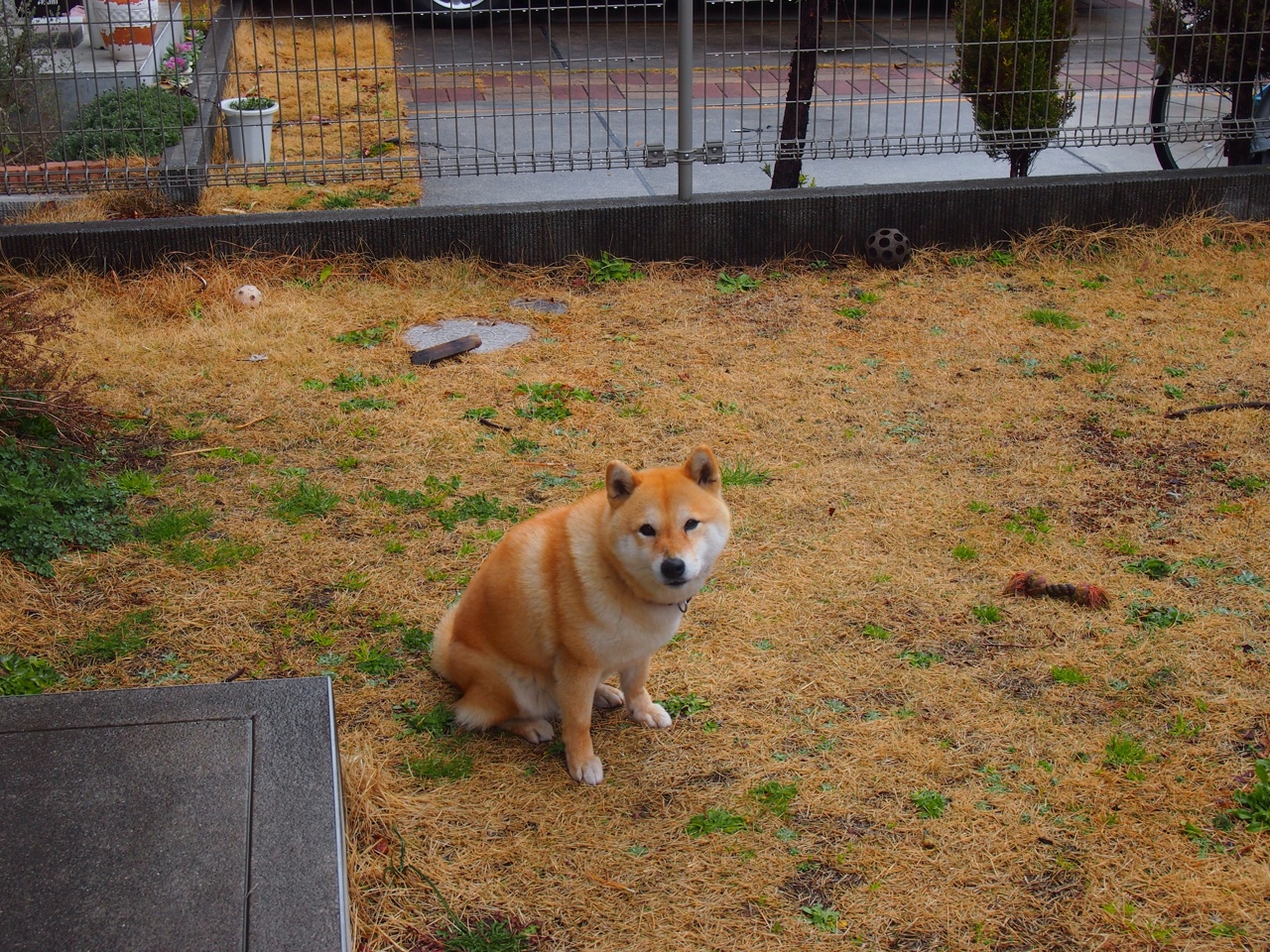 开云体育中国官网-季后赛大咖秀：明星球员的巅峰对决，nba巨星季后赛掉链子场次